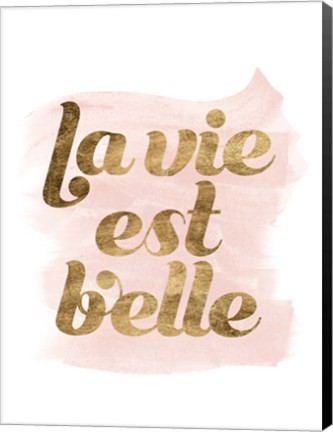 Framed La Vie in Pink III Print