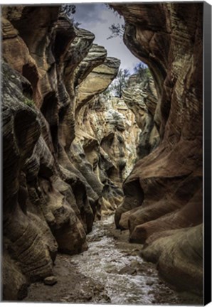 Framed Slot Canyon Utah 6 Print