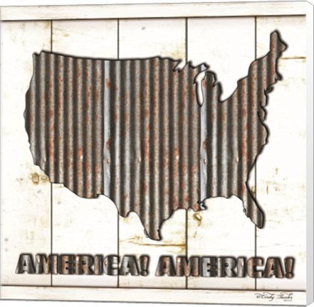 Framed America Print