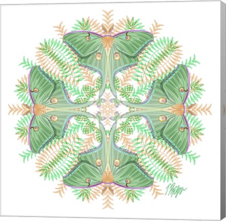 Framed Fern Forest Luna Moth Mandala Print