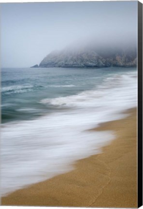 Framed Gray Whale Cove Print