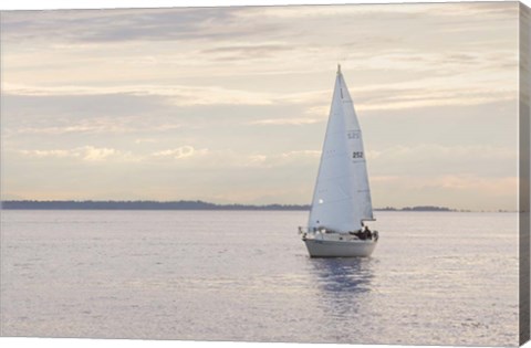 Framed Sailboat in Semiahmoo Bay Print