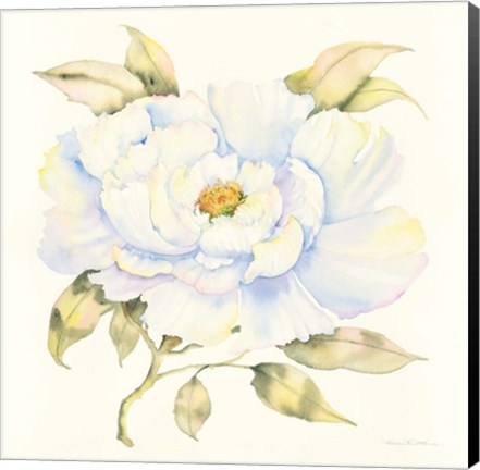 Framed Peony Print