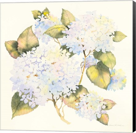 Framed Hydrangeas Print