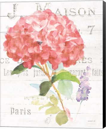 Framed Maison des Fleurs VI Print