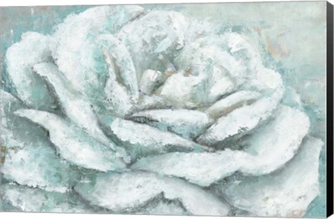 Framed White Rose Splendor Print