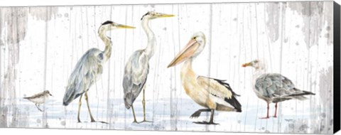 Framed Birds of the Coast Rustic Panel Print