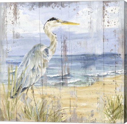 Framed Birds of the Coast Rustic I Print