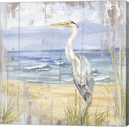 Framed Birds of the Coast Rustic II Print