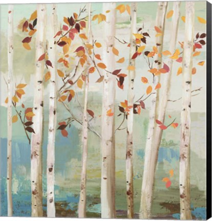 Framed Fall Birch Trees Print