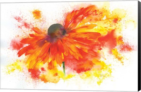 Framed Single Rudbeckia Print