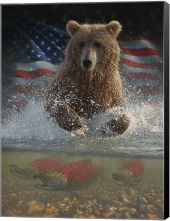 Framed Brown Bear Fishing America Print