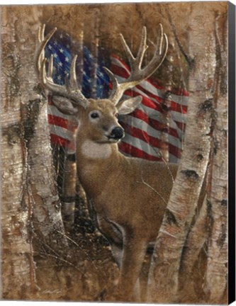 Framed Whitetail Buck America Print