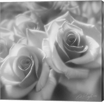 Framed Rose Pair B&amp;W Print