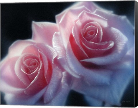 Framed Roses - Pink Pair Print