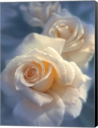 Framed White Roses - Unforgettable Print