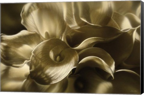 Framed Golden Lilies Print