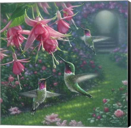 Framed Hummingbird Haven - Square Print