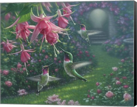 Framed Hummingbird Haven Print