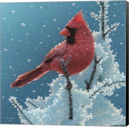 Framed Cardinal - Cherry on Top Print