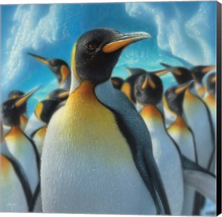 Framed Penguin Paradise - Square Print