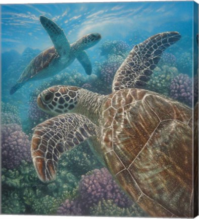 Framed Sea Turtles - Turtle Bay Print