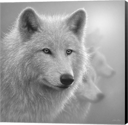 Framed Arctic Wolves - Whiteout - B&amp;W Print