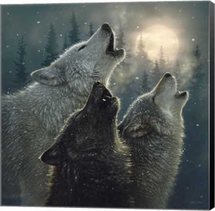 Framed Howling Wolves - In Harmony Print