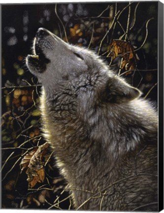 Framed Howling Wolf - Songs of Autumn Print