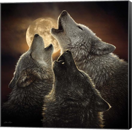 Framed Wolf Trinity Print