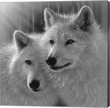 Framed Wolves - Sunlit Soulmates - B&amp;W Print