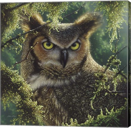 Framed Great Horned Owl - Watching and Waiting Print