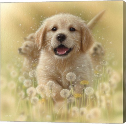 Framed Golden Retriever Puppy - Dandelions - Square Print