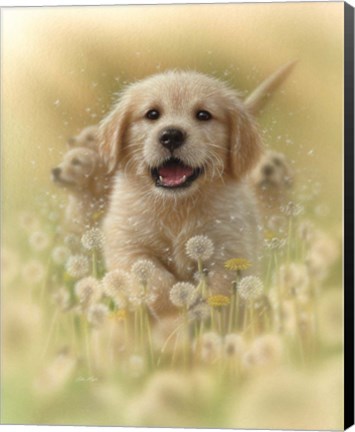 Framed Golden Retriever Puppy - Dandelions Print