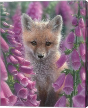 Framed Red Fox - Foxgloves Print