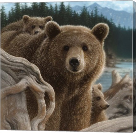 Framed Brown Bears - Backpacking - Square Print