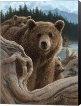 Framed Brown Bears - Backpacking Print