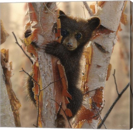 Framed Curious Cub II Print