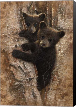 Framed Curious Cubs Print