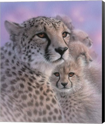 Framed Cheetah Mother and Cubs - Mother&#39;s Love Print