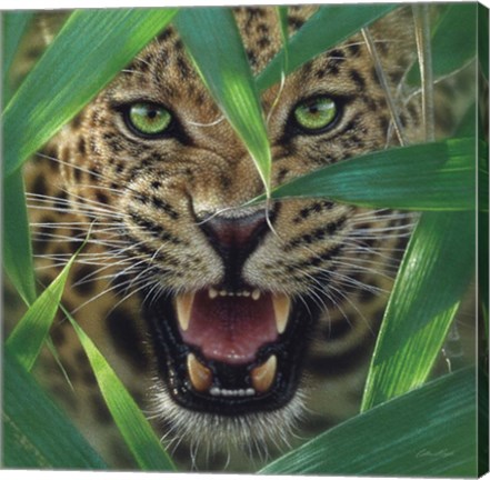 Framed Jaguar - Ambush Print