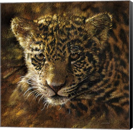 Framed Jaguar Cub on Bark Print