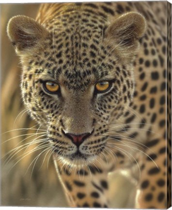 Framed Leopard - On the Prowl Print