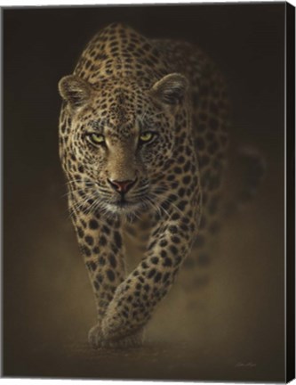 Framed Leopard - Savage Print