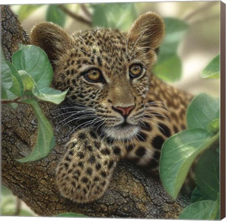 Framed Leopard Cub - Tree Hugger Print