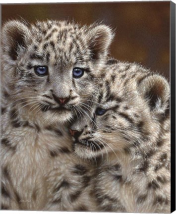 Framed Snow Leopard Cubs - Playmates Print