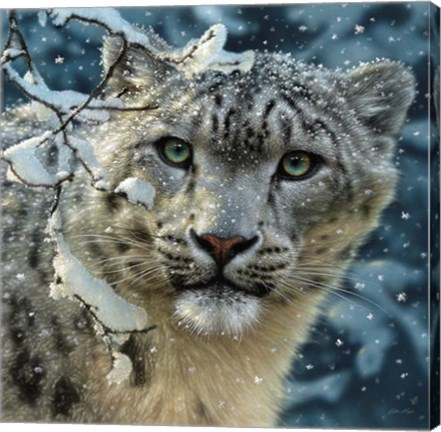 Framed Snow Leopard Print