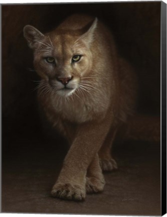 Framed Cougar - Emergence Print