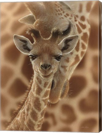 Framed Newborn Giraffe Print