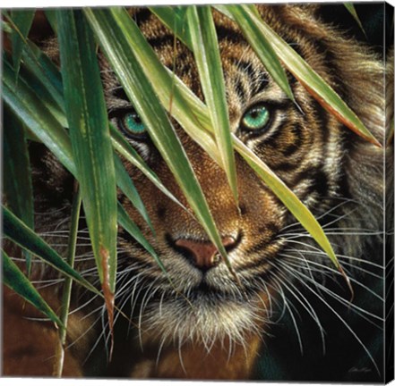 Framed Tiger Eyes Print